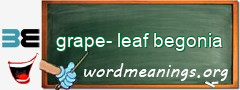 WordMeaning blackboard for grape-leaf begonia